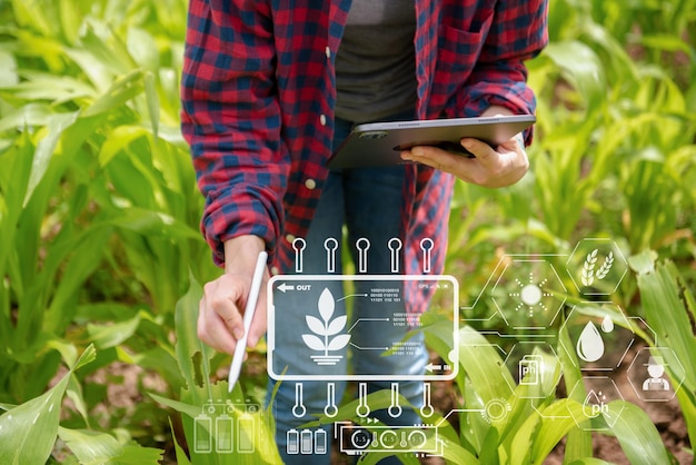 Concepto de agricultor inteligente que usa una tableta en el jardín de campo con luz de puesta de sol la aplicación de tecnología moderna en actividades de cultivo agrícola