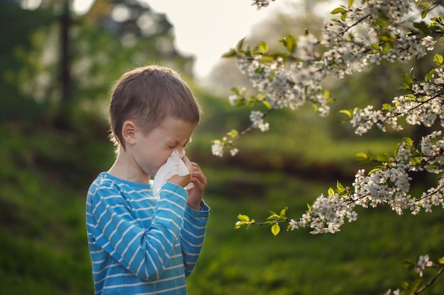 Concepto de alergia. Niño pequeño está soplando su nariz cerca de flores florecientes