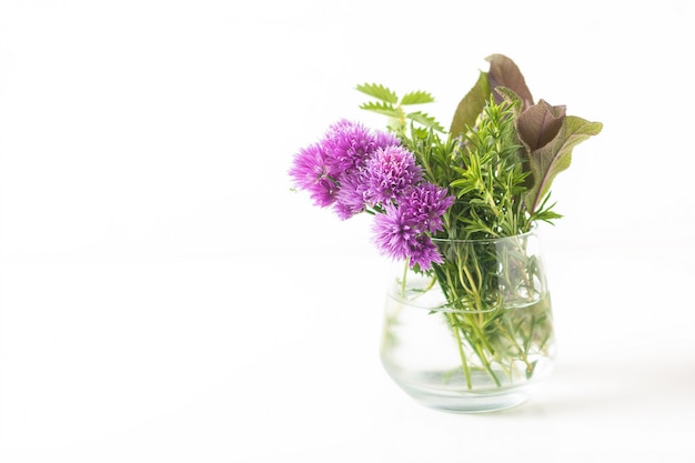 Concepto de alimentos a base de hierbas flores de cebollino y hierbas aromáticas en frasco de vidrio aislado sobre fondo blanco.