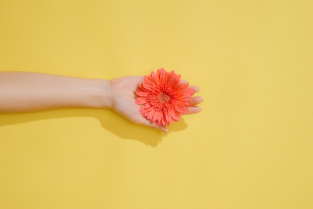 Concepto de amor o día de san valentín. Fondo de primavera o verano