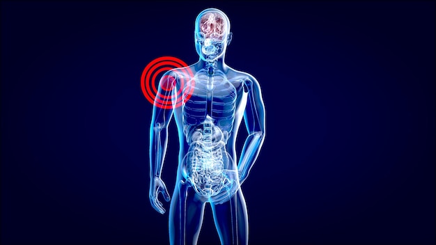 Concepto de anatomía 4K de un dolor de hombro