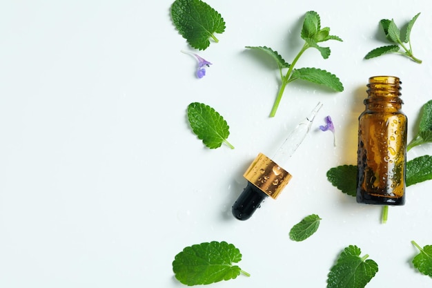 Concepto de aromaterapia con espacio de menta para texto.