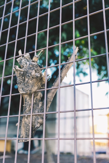 Concepto atorado Un pedazo de rama de árbol está atascado en la malla de alambre de acero.