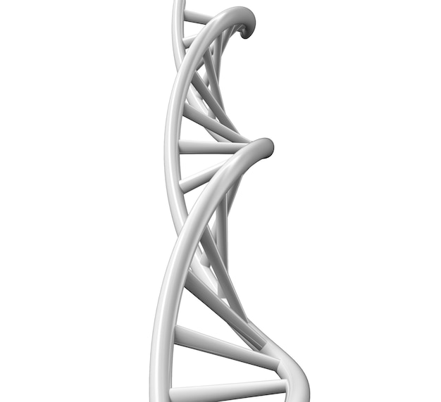 Concepto de bioquímica con molécula de adn aislada en fondo blanco, representación 3d