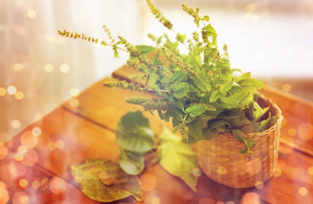 concepto de botánica, verano, jardinería y hierbas - primer plano de melisa fresca en una cesta de mimbre y hojas sobre una mesa de madera