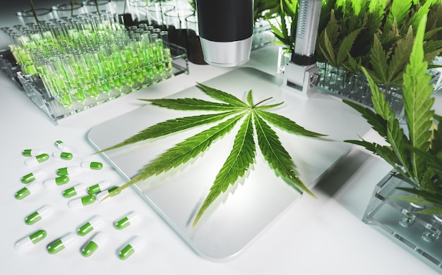 Concepto de cannabis en la representación 3d de la investigación médica