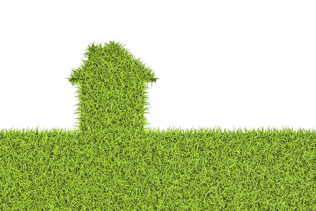Concepto de casa ecológica casa de hierba verde renderización en 3D