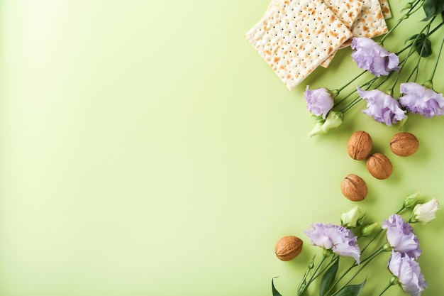 Concepto de celebración de Pascua Matzá rojo vino kosher nuez y primavera hermosas flores color de rosa Ritual tradicional pan judío sobre fondo verde claro Comida de Pascua Pesaj Fiesta judía