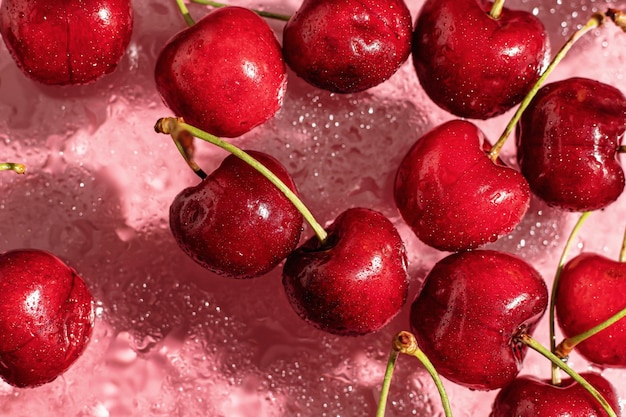 Concepto de cereza en estilo moderno sobre fondo rosa con vista superior de papel tapiz de sombras