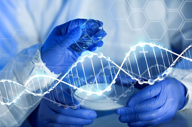 Foto concepto de ciencia, química y personas - cierre de las manos de los científicos con vidrio y polvo químico en placas de petri haciendo pruebas o investigando en el laboratorio sobre la estructura de la molécula de adn azul