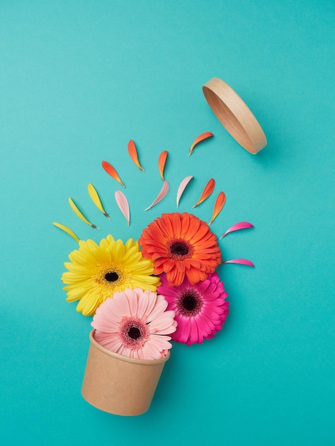 Foto concepto de color en primavera naranja rosas y amarillas flores y pétalos sobre un fondo azul