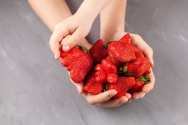 Concepto: comer frutas y verduras feas. La mano de los niños toma unas fresas maduras divertidas de forma inusual de manos femeninas. Fondo gris, espacio de copia.