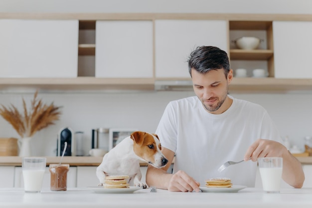 Concepto de comida, bebida y mascotas de la gente Toma horizontal de un joven apuesto que come deliciosos panqueques dulces, su perro pedigrí mira con tentación pasar el fin de semana en casa posando contra el interior de la cocina