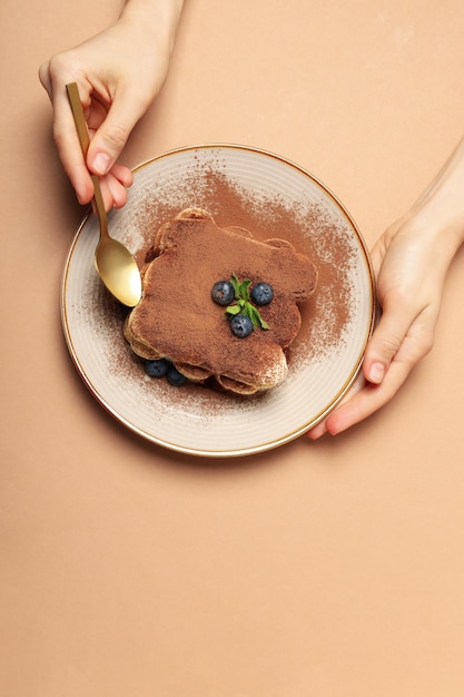 Concepto de comida dulce Vista superior de la torta de tiramisú