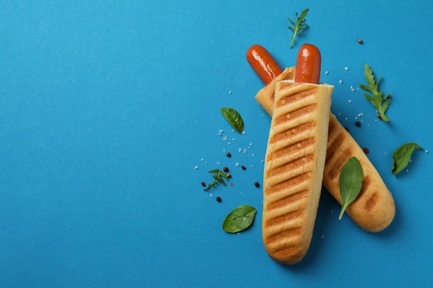 Concepto de comida sabrosa con hot dog francés