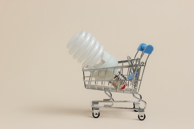 Concepto de compras ecológicas Carrito de compras con bombilla espiral