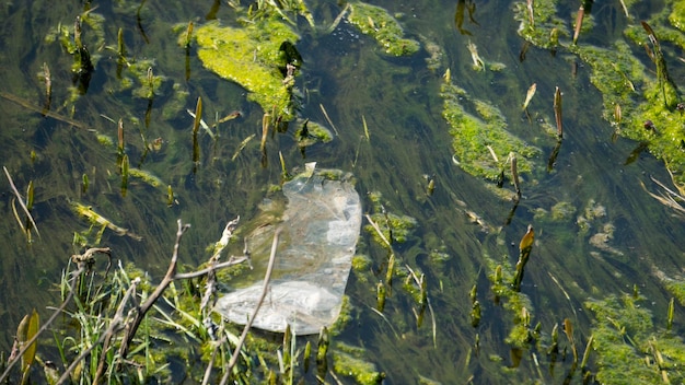 Concepto de contaminación plástica del agua, cambio climático y conservación del medio ambiente.