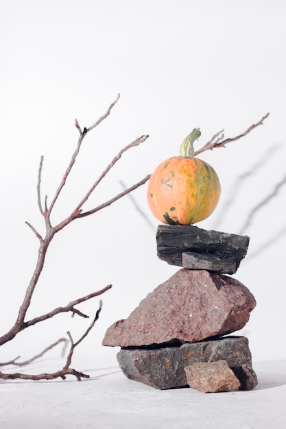 Concepto de cosecha de otoño con rama de madera, piedras y calabaza sobre fondo blanco, sombra profunda.