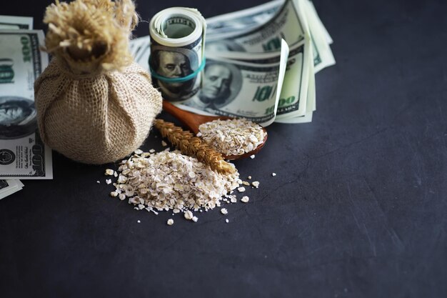 El concepto del costo de los billetes de 100 dólares de grano alrededor de un puñado de grano molido Hambre mundial
