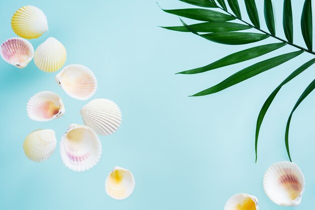 Concepto creativo de verano. Estilo minimalista con hojas de palmera y conchas marinas.