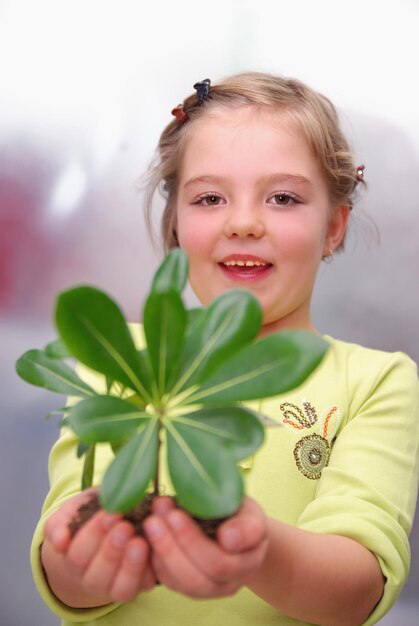 concepto de crecimiento con pequeña planta en la mano