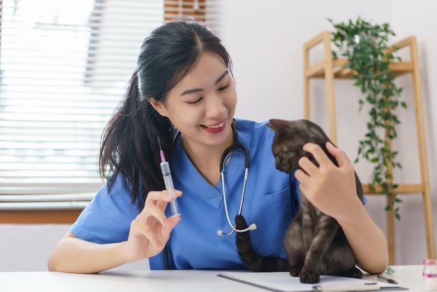 Concepto de cuidado de mascotas Veterinaria femenina prepara vacunas para inyectar al gato en la clínica veterinaria