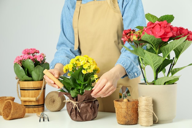 Concepto de cuidado de la mujer de jardinería para las flores.