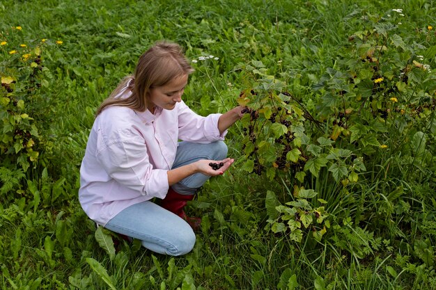 El concepto de cultivar productos saludables Una joven agricultora recolecta grosellas negras