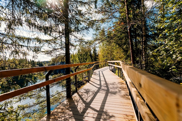 Concepto de decisión o elección utilizando un paseo marítimo de madera en un bosque denso