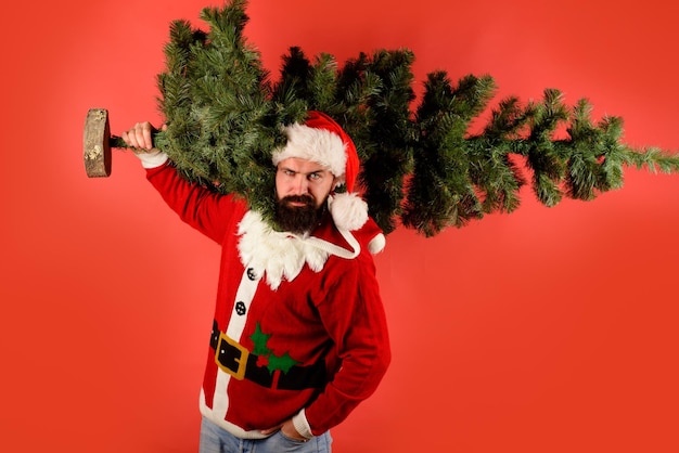 Concepto de decoración navideña hombre de santa con árbol de navidad árbol de pino traje de santa claus navidad