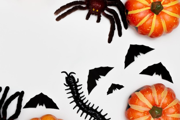 Concepto de decoraciones de Halloween Calabaza de sonrisa aterradora con ciempiés y araña con murciélago negro volador