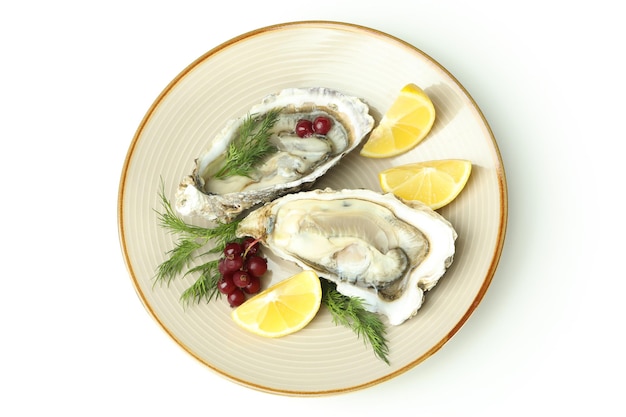 Concepto de deliciosas ostras de marisco aislado sobre fondo blanco.