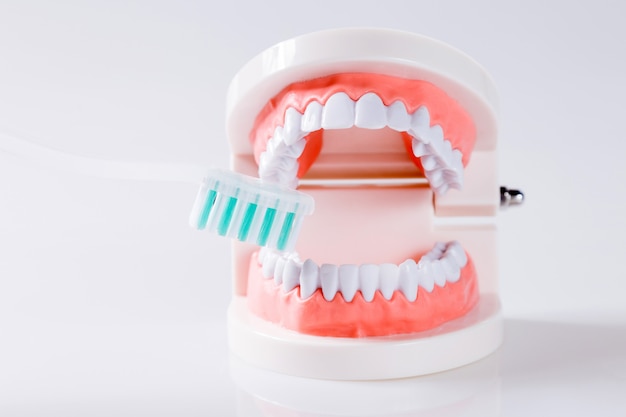 Concepto dental equipo saludable herramientas cuidado dental