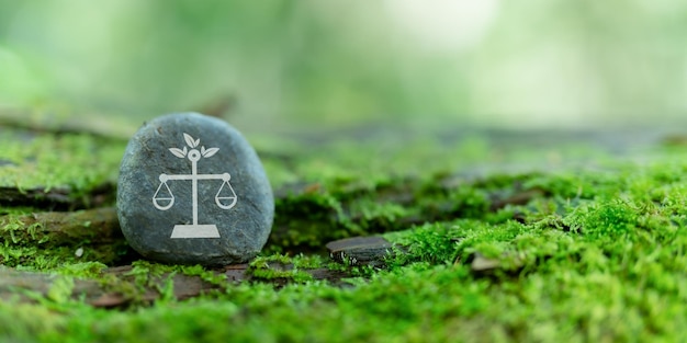 Concepto de derecho ambiental internacional Clima o justicia ambiental Regulaciones ambientales para negocios sostenibles empresas e industria Derecho internacional para la protección del medio ambiente