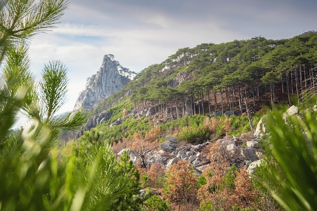 El concepto de descubrimiento y senderismo naturaleza y libertad.