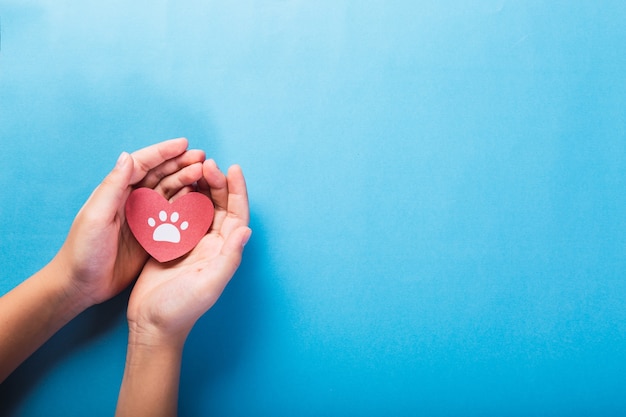 Concepto del día mundial de los animales y las mascotas. Manos sosteniendo un corazón con pies de mascota sobre un fondo azul claro.