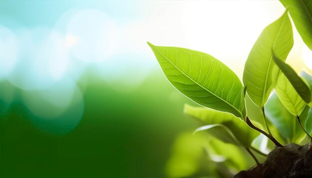 El concepto del Día Mundial del Medio Ambiente es que las hojas verdes de los árboles en un fondo borroso generan ai