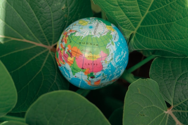 Concepto del Día Mundial de la Tierra. Hoja verde abrazando un globo terráqueo