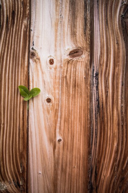 Concepto del día de san patricio - trébol sobre tableros de madera