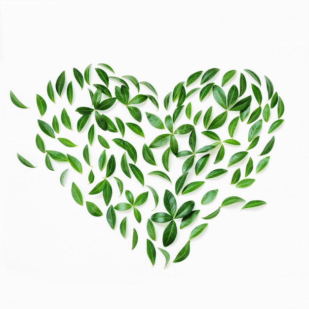 Concepto del día de la tierra Patrón floral de hojas verdes como corazón en blanco.