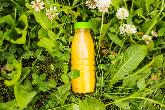 Concepto de dieta, desintoxicación y estilo de vida saludable. Jugo fresco en botella sobre una hierba verde