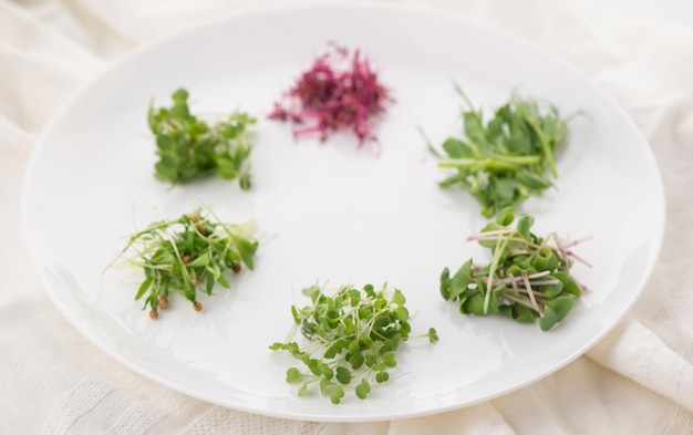 El concepto de una dieta saludable el cultivo de microvegetales amaranto rojo mostaza rúcula guisantes cilantro en un plato blanco