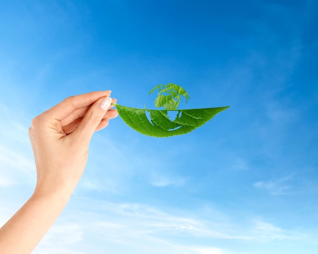 El concepto de ecología de la hoja verde en la mano con el globo verde del mapa del mundo