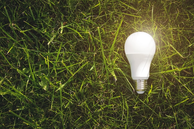 Concepto ecológico: bombilla LED de bajo consumo con iluminación en el fondo y el área de naturaleza verde