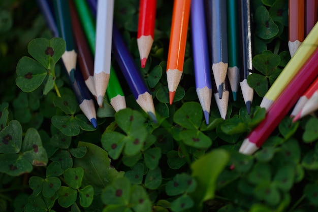 concepto de educación infantil con bolígrafo de madera colorido aislado sobre fondo blanco