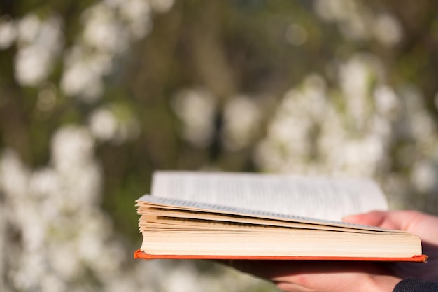 Concepto de educación libro abierto en manos sobre un fondo de árboles florecientes