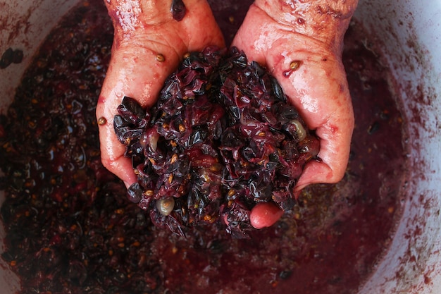 Concepto de elaboración de vino tinto casero.