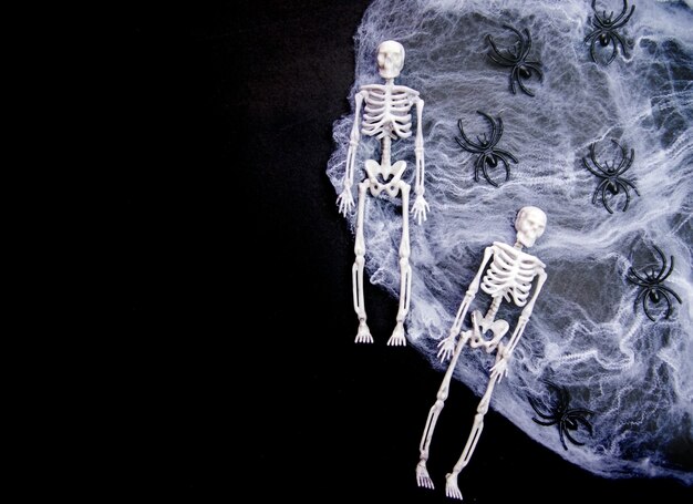 El concepto de unas felices vacaciones de Halloween. Telarañas, esqueletos, arañas sobre un fondo negro. Una postal o una maqueta para Halloween. Espacio vacío para el texto.