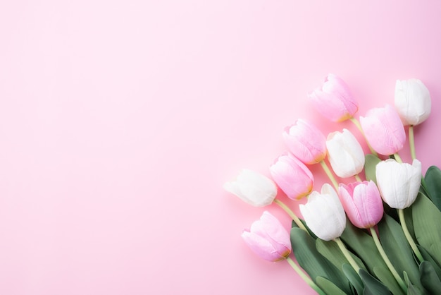 Concepto de feliz día de la madre. Vista superior de flores de tulipán blanco y rosa