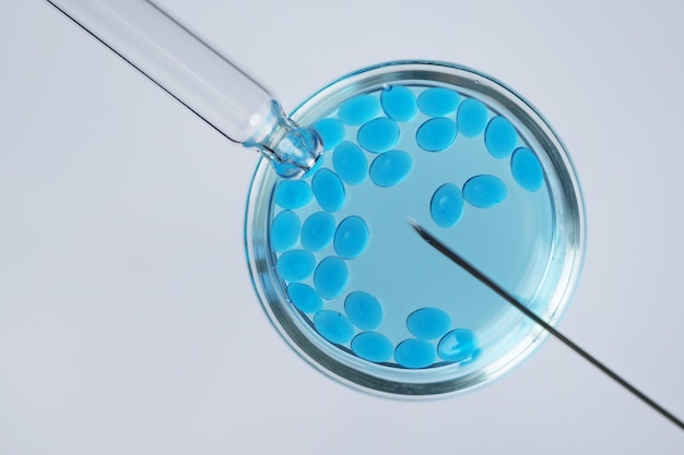 Concepto de fertilización in vitro. Fotografía macro de inseminación artificial o tratamiento de fertilidadx9